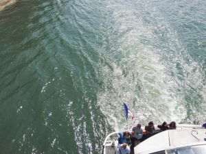 Sursa foto: Unsplash